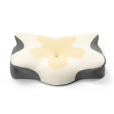 Memory Foam Sleeping Pillow SP-02-2